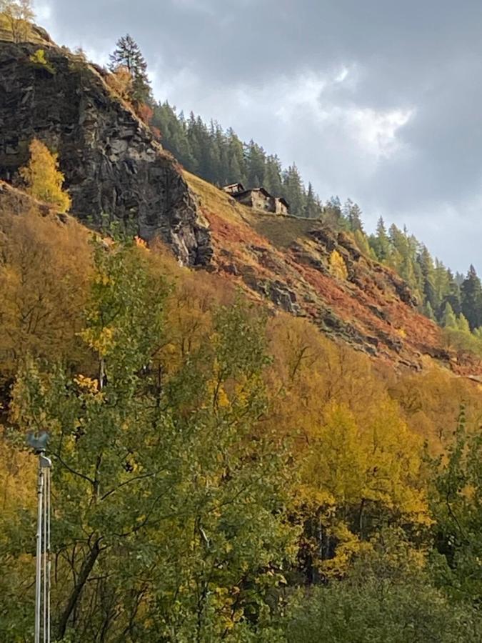 Baita Valtellina. Relax Nel Cuore Delle Alpi Grosio Εξωτερικό φωτογραφία